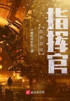 战争游戏指挥官怎么玩