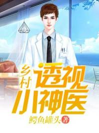乡村透视小神医在线