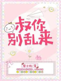 系统你别乱来动漫