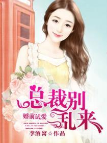 婚前试爱总裁慢慢爱免费阅读